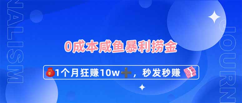 0成本闲鱼暴利捞金，1个月狂赚10W+，秒发秒赚新玩法-南友云赚