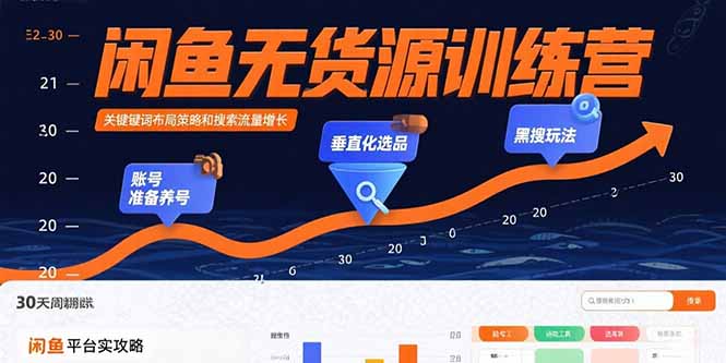 闲鱼无货源训练营：账号准备养号/垂直化选品/黑搜玩法，0基础30天盈利指南-南友云赚