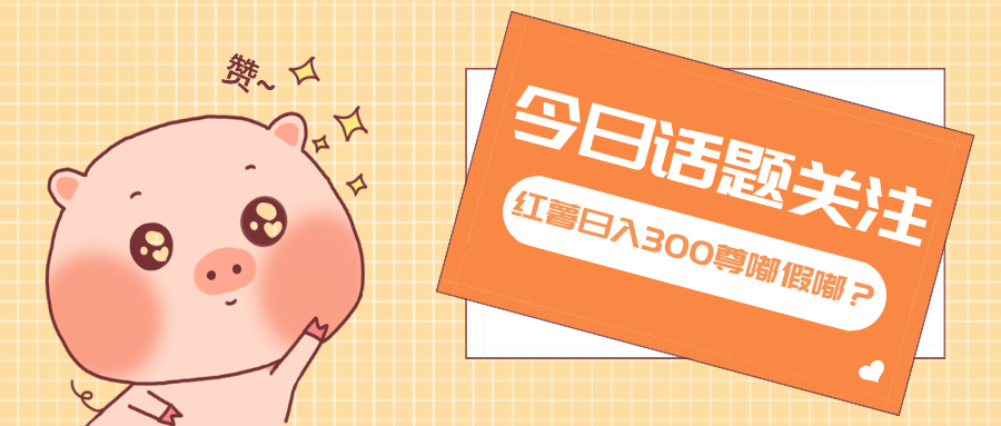 全新红薯浏览，打破常规 双端操作，每天运行6小时，让你获得工作以外的…-南友云赚