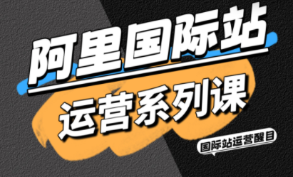 醒目老师·阿里国际站运营系列课(更新11月)-南友云赚