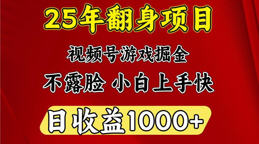 一天收益1000+ 25年开年落地好项目-南友云赚