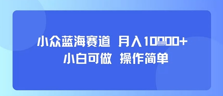 小众蓝海赛道，小白可做，操作简单，每天30分钟，月入1W+-南友云赚