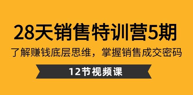 28天销售特训营5期：了解赚钱底层思维，掌握销售成交密码（12节课）-南友云赚