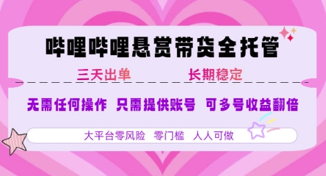 2025年B站风口带货项目 仅需提供账号 全程托管 轻松月入1w+-南友云赚