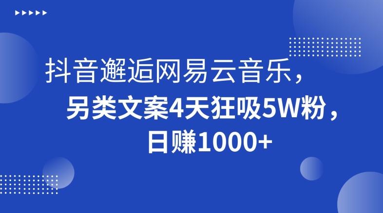 抖音邂逅网易云音乐，另类文案4天狂吸5W粉，日赚1000+【揭秘】-南友云赚