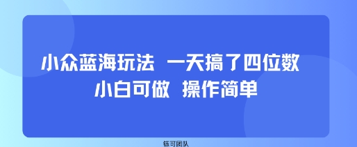 小众蓝海玩法 一天搞了四位数 小白可做 操作简单-南友云赚