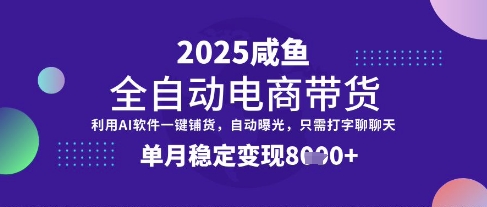 全网首发【闲鱼全自动电商带货】三年磨一剑，一朝露锋芒，单月稳定变现8k+【揭秘】-南友云赚