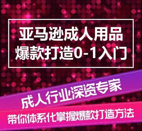 亚马逊成人用品爆款打造0-1入门，系统化讲解亚马逊成人用品爆款打造的流程-南友云赚