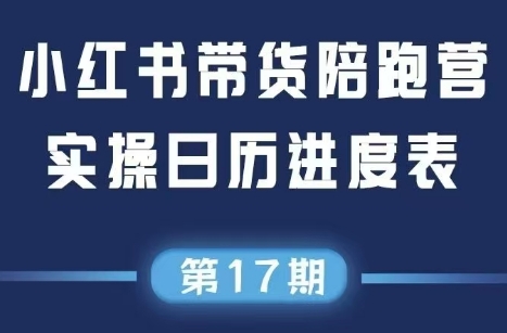 盗坤·抖音小红书视频号短视频带货与直播变现(11-17期)-南友云赚