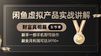 精品！闲鱼虚拟产品实战讲解，新手一部手机即可操作，副业月利润可达5k+-南友云赚