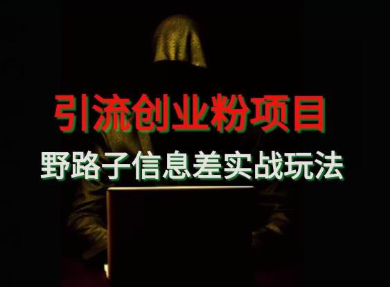 【引流创业粉】野路子信息差玩法实战教学-南友云赚