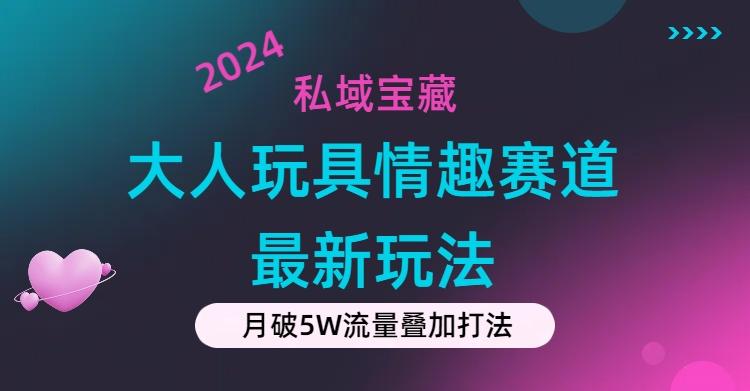私域宝藏：大人玩具情趣赛道合规新玩法，零投入，私域超高流量成单率高-南友云赚