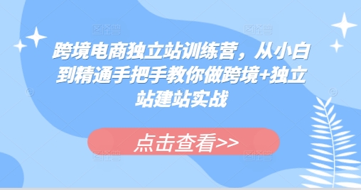 跨境电商独立站训练营，从小白到精通手把手教你做跨境+独立站建站实战-南友云赚