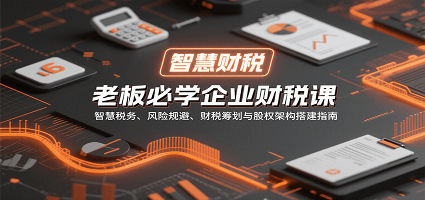 老板必学企业财税课：智慧税务、风险规避、财税筹划与股权架构搭建指南-南友云赚