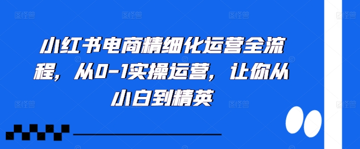 小红书电商精细化运营全流程，从0-1实操运营，让你从小白到精英-南友云赚