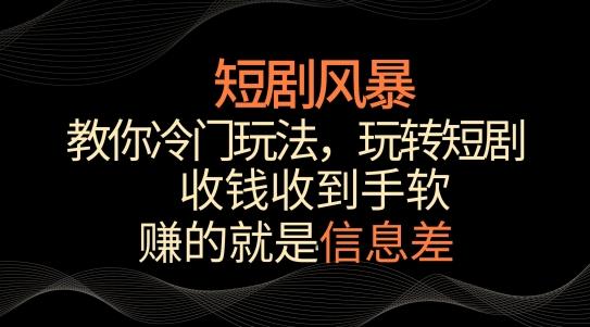 短剧风暴，教你冷门玩法，玩转短剧，收钱收到手软【揭秘】-南友云赚