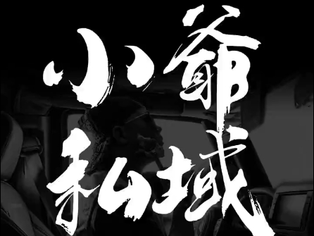 a901a0d77f4ab5971c45e2e04f233a1a.jpeg 小爷·私域项目操盘手