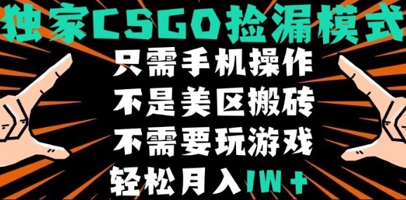 CSGO自动捡漏项目，最新独家玩法，不是美区搬砖，不需要了解和玩游戏，新手小白轻松月入1W+【揭秘】-南友云赚