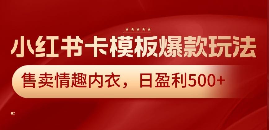 小红书卡模板爆款玩法，售卖情趣内衣，日盈利500+【揭秘】-南友云赚