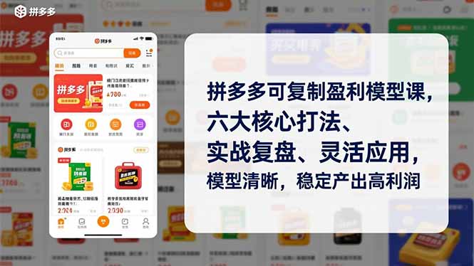 拼多多可复制盈利模型课，六大核心打法、实战复盘、灵活应用，模型清晰，稳定产出高利润-南友云赚