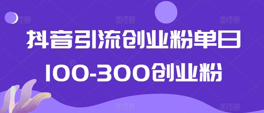 抖音引流创业粉单日100-300创业粉【揭秘】-南友云赚