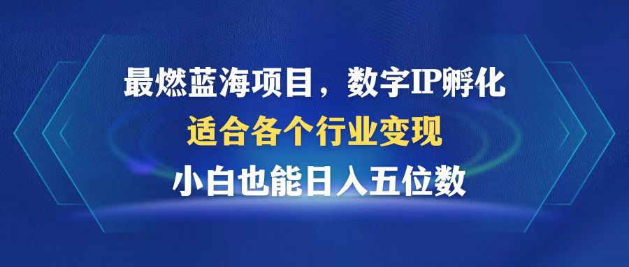 最燃蓝海项目  数字IP孵化  适合各个行业变现  小白也能日入5位数-南友云赚