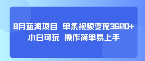 8月AI蓝海项目，单条视频变现1k+ 小白可玩 操作简单易上手-南友云赚