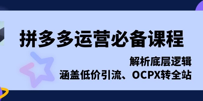 拼多多运营必备课程，解析底层逻辑，涵盖低价引流、OCPX转全站-南友云赚