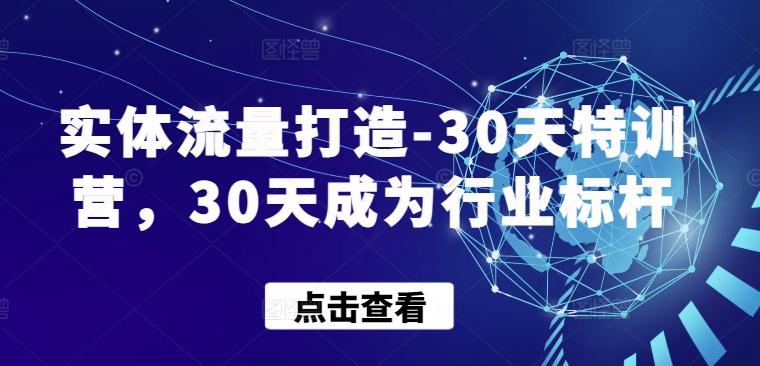 实体流量打造-30天特训营，30天成为行业标杆-南友云赚