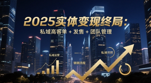 2025实体变现终局：私域高客单+发售+团队管理-南友云赚