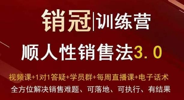 爆款！销冠训练营3.0之顺人性销售法，全方位解决销售难题、可落地、可执行、有结果-南友云赚