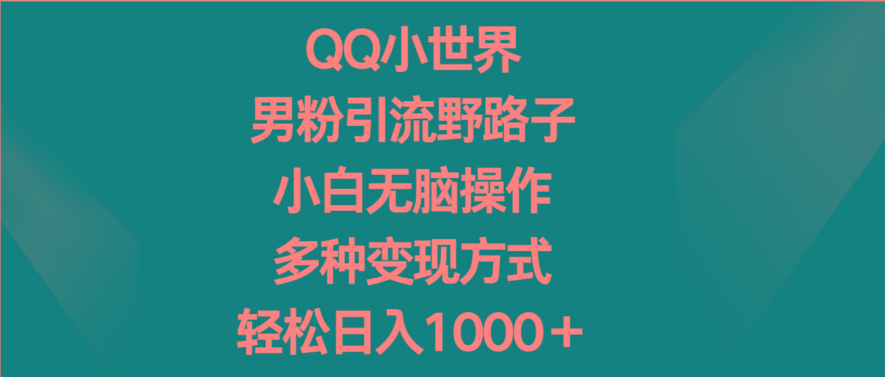 QQ小世界男粉引流野路子,小白无脑操作,多种变现方式轻松日入1000+-南友云赚