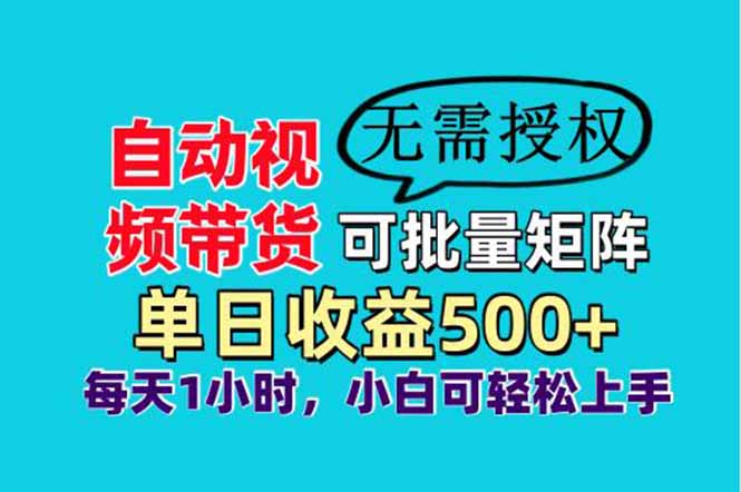 自动视频带货，可批量矩阵，单日收益500+、轻松实现睡后收益，小白可…-南友云赚