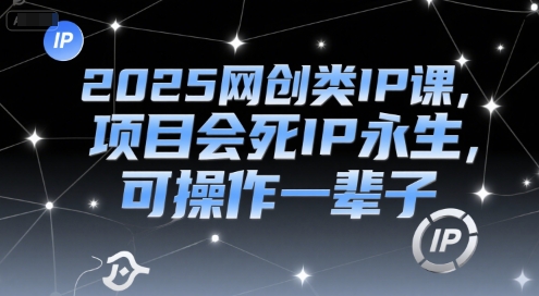 2025网创类IP课，项目会死IP永生，可操作一辈子-南友云赚