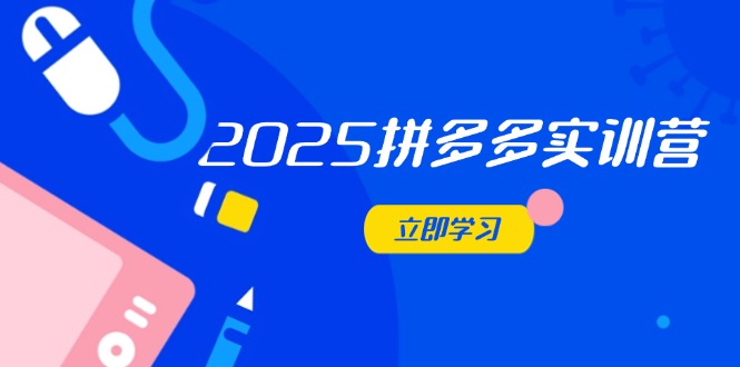 2025拼多多实训营：深度剖析运营关键，助力电商人快速提升-南友云赚