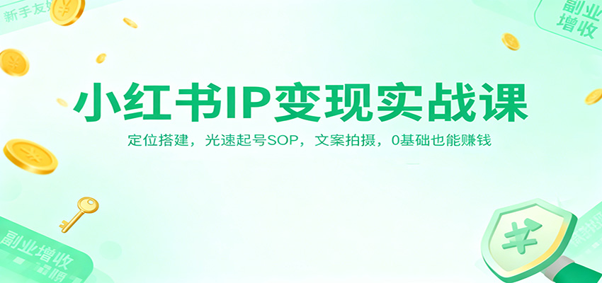 小红书IP变现实战课：定位搭建，光速起号SOP，文案拍摄，0基础也能赚钱-南友云赚