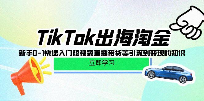 (10035期)TikTok-出海淘金，新手0-1快速入门短视频直播带货等引流到变现的知识-南友云赚