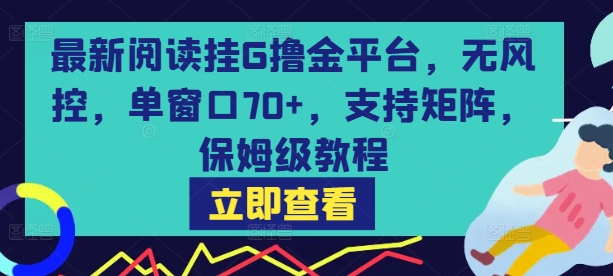 最新阅读挂G撸金平台，无风控，单窗口70+，支持矩阵，保姆级教程【揭秘】-南友云赚