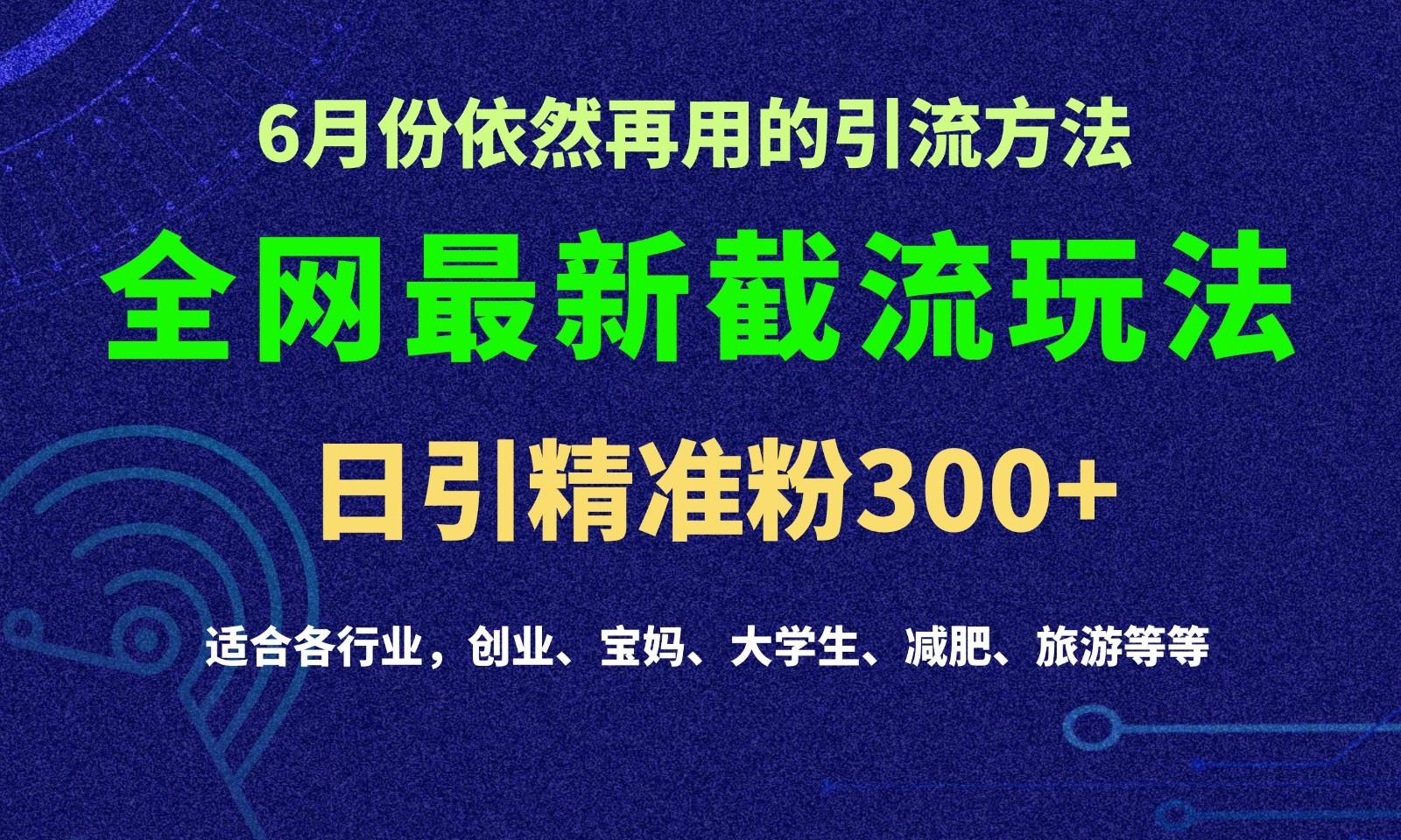 2024全网最新截留玩法,每日引流突破300+-南友云赚