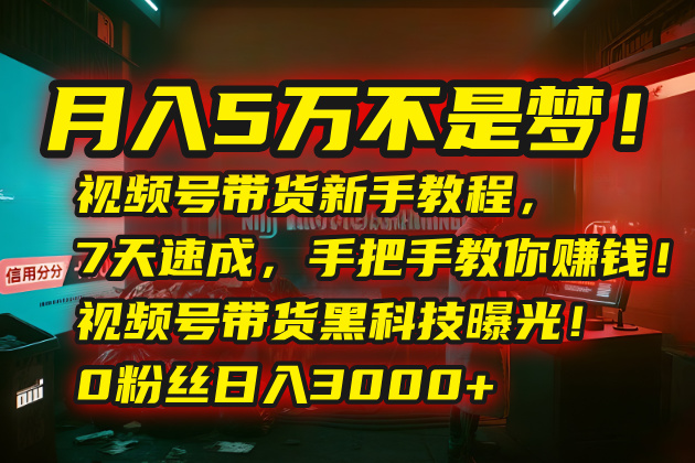 月入5万不是梦！视频号带货新手教程，7天速成，手把手教你赚钱！视频号…-南友云赚