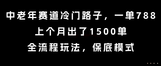 中老年赛道冷门路子，一单788，上个月出了1500单，全流程玩法，保底模式【揭秘】-南友云赚