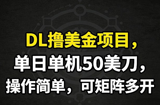 DL撸美金项目，单日单机50美刀，操作简单，可矩阵多开-南友云赚