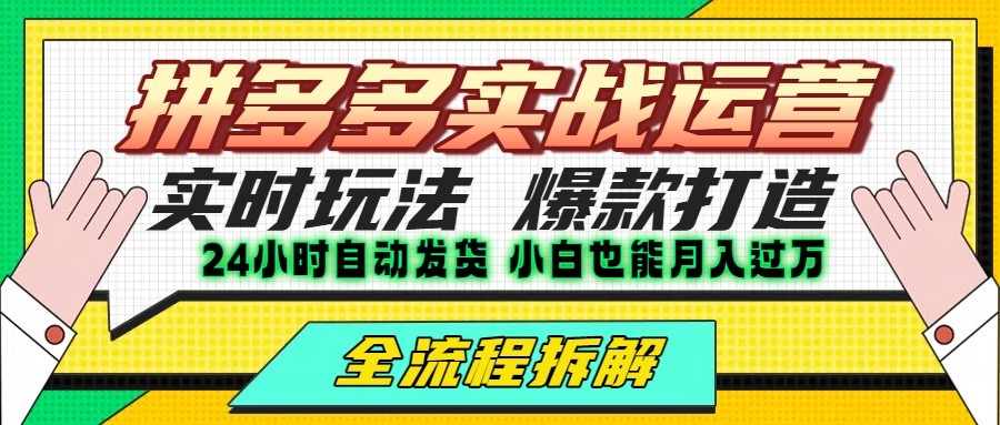 拼多多最新实战运营高投产：长久稳定项目，单店利润一天三位数-南友云赚