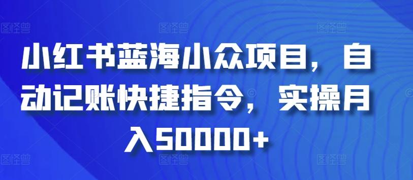 小红书蓝海小众项目，自动记账快捷指令，实操月入50000+【揭秘】-南友云赚