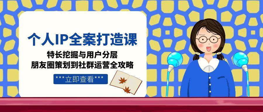 个人IP全案打造课，特长挖掘与用户分层，朋友圈策划到社群运营全攻略-南友云赚