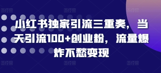 小红书独家引流三重奏，当天引流100+创业粉，流量爆炸不愁变现【揭秘】-南友云赚