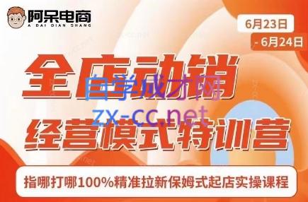 阿呆电商·全店动销经营模式特训营(线下录音+思维导图)-南友云赚