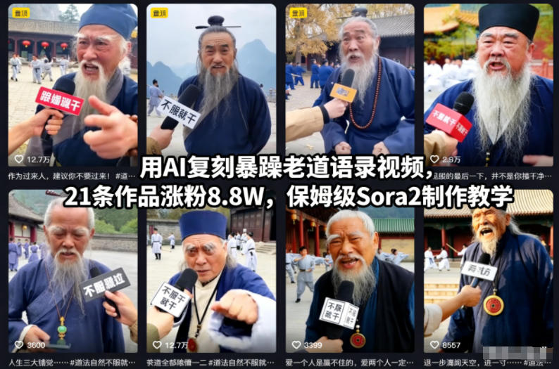 用AI复刻暴躁老道语录视频，21条作品涨粉8.8W，保姆级Sora2制作教学-南友云赚