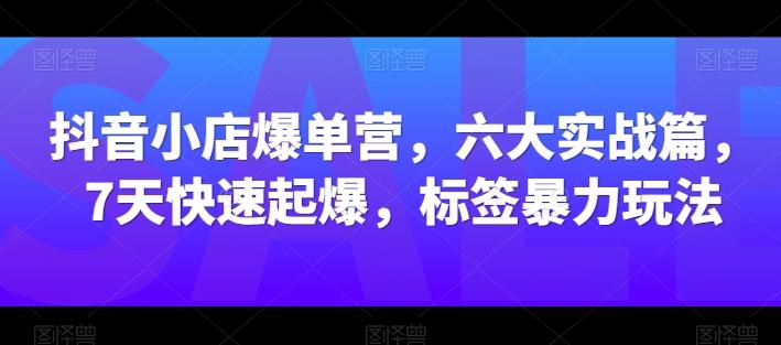 抖音小店爆单营，六大实战篇，7天快速起爆，标签暴力玩法-南友云赚