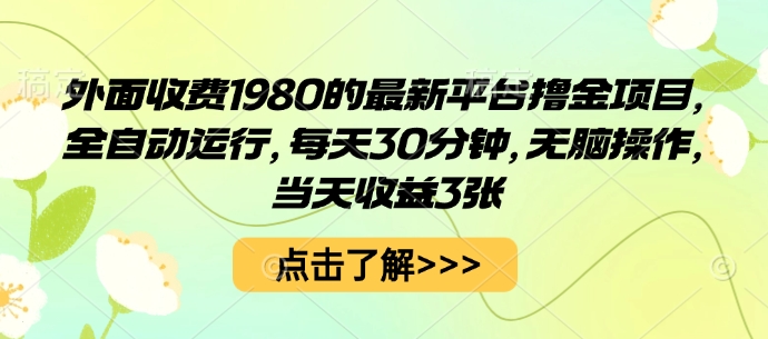 外面收费1980的最新平台撸金项目，全自动运行，每天30分钟，无脑操作，当天收益3张【揭秘】-南友云赚